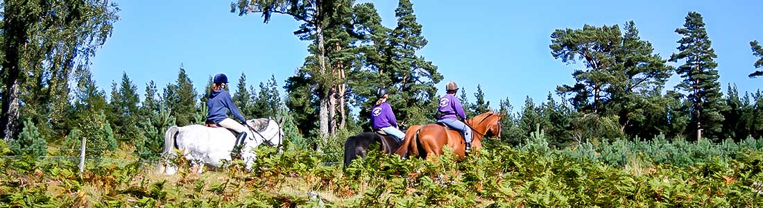 Alvie Estate Horse Riding