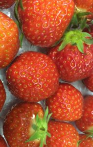 Alvie Strawberries